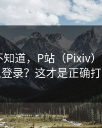 很多人不知道，P站（Pixiv）——网页版怎么登录？这才是正确打开方式