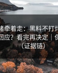别被情绪牵着走：黑料不打烊，如何看公关回应？看完再决定｜保护隐私（证据链）