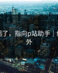 别再传谣了，指向p站助手｜结论很意外