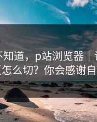 很多人不知道，p站浏览器｜语言与地区怎么切？你会感谢自己