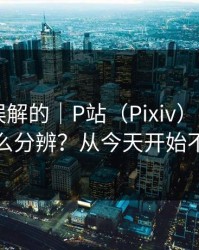 一直被误解的｜P站（Pixiv）——视频页怎么分辨？从今天开始不迷路