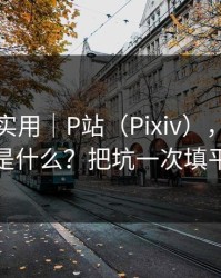 冷门但实用｜P站（Pixiv），搬运工是什么？把坑一次填平