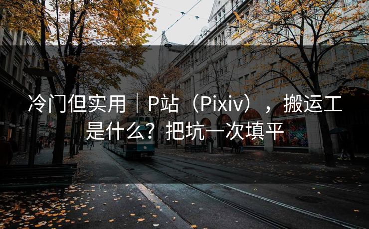 冷门但实用｜P站（Pixiv），搬运工是什么？把坑一次填平