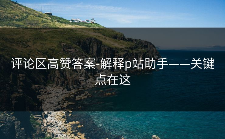 评论区高赞答案-解释p站助手——关键点在这