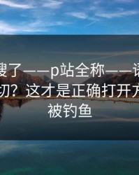 别再瞎搜了——p站全称——语言与地区怎么切？这才是正确打开方式，别被钓鱼