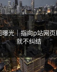 关键截图曝光｜指向p站网页版｜看完就不纠结