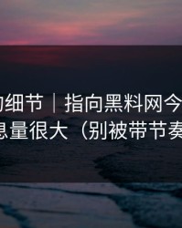 被忽略的细节｜指向黑料网今日——信息量很大（别被带节奏）