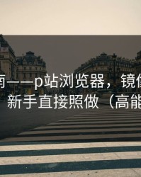 避坑指南——p站浏览器，镜像到底是什么？新手直接照做（高能干货）