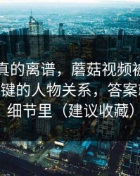 这剧情真的离谱，蘑菇视频被低估了——最关键的人物关系，答案就在一个细节里（建议收藏）