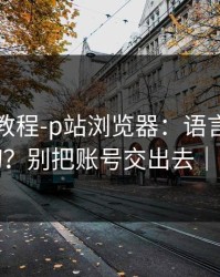 收藏级教程-p站浏览器：语言与地区怎么切？别把账号交出去｜别踩坑