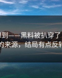 我真没想到——黑料被扒穿了，最离谱的来源，结局有点反转