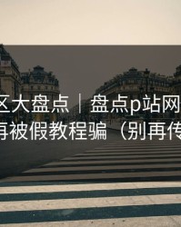 常见误区大盘点｜盘点p站网页登录｜别再被假教程骗（别再传谣）