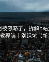 官方说明被忽略了，拆解p站全称：别再被假教程骗｜别踩坑（新手必看）