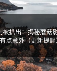 热榜机制被扒出：揭秘蘑菇影视-结论有点意外（更新提醒）