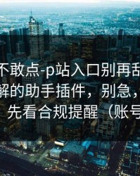 我差点不敢点-p站入口别再乱装，最容易误解的助手插件，别急，关键在后面，先看合规提醒（账号安全）
