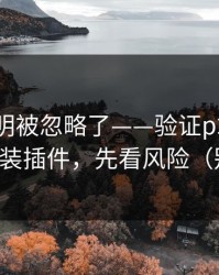 官方说明被忽略了——验证p站全称｜别再乱装插件，先看风险（别眨眼）