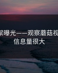 幕后花絮曝光——观察蘑菇视频社区-信息量很大
