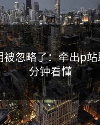 官方说明被忽略了：牵出p站助手，三分钟看懂