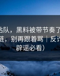 别急着站队，黑料被带节奏了-最致命的证据链，别再跟着骂｜反诈避坑（辟谣必看）