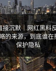 这波我直接沉默｜网红黑料反转了-最容易忽略的来源，到底谁在撒谎？｜保护隐私