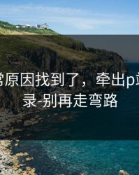 账号异常原因找到了，牵出p站网页登录-别再走弯路