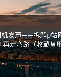社区老司机发声——拆解p站网页登录，别再走弯路（收藏备用）