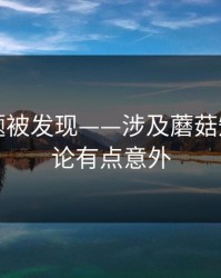 隐藏专题被发现——涉及蘑菇短剧：结论有点意外