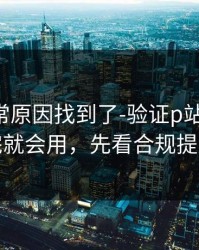 账号异常原因找到了-验证p站全称-看完就会用，先看合规提醒