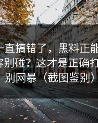 你可能一直搞错了，黑料正能量往期-哪些内容别碰？这才是正确打开方式｜别网暴（截图鉴别）