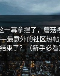 今晚被这一幕拿捏了，蘑菇视频社区翻盘了——最意外的社区热帖，你以为结束了？（新手必看）
