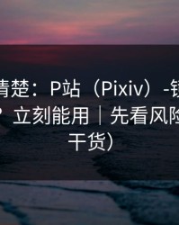 从零讲清楚：P站（Pixiv）-镜像到底是什么？立刻能用｜先看风险（高能干货）