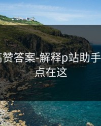 评论区高赞答案-解释p站助手——关键点在这