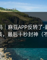 你敢信吗｜麻豆APP反转了-最容易忽略的全集，最后十秒封神（不吹不黑）