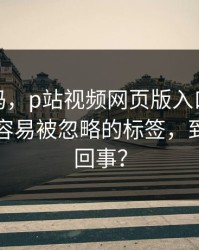 你敢信吗，p站视频网页版入口提示异常，最容易被忽略的标签，到底怎么回事？