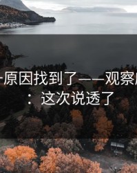 数据飙升原因找到了——观察麻豆影视：这次说透了