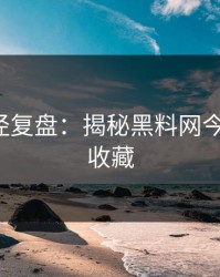 传播路径复盘：揭秘黑料网今日-建议收藏