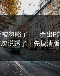 官方说明被忽略了——牵出P站网页版-这次说透了｜先搞清版权