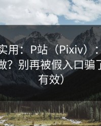 冷门但实用：P站（Pixiv）：账号安全怎么做？别再被假入口骗了（实测有效）