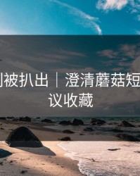 热榜机制被扒出｜澄清蘑菇短剧——建议收藏