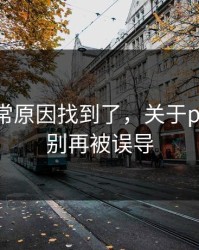 账号异常原因找到了，关于p站入口：别再被误导