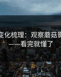新功能变化梳理：观察蘑菇影视片单——看完就懂了