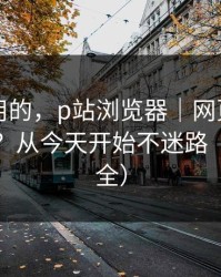 真正好用的，p站浏览器｜网页登录常见报错？从今天开始不迷路（账号安全）