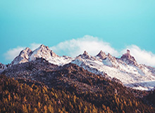 细节决定体验，蘑菇视频平台-如何用关键词搜索？把坑一次填平（隐藏彩蛋）