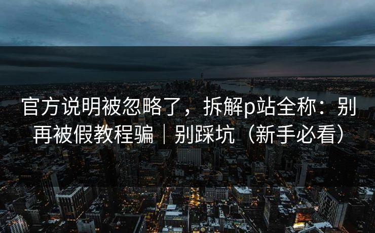 官方说明被忽略了，拆解p站全称：别再被假教程骗｜别踩坑（新手必看）
