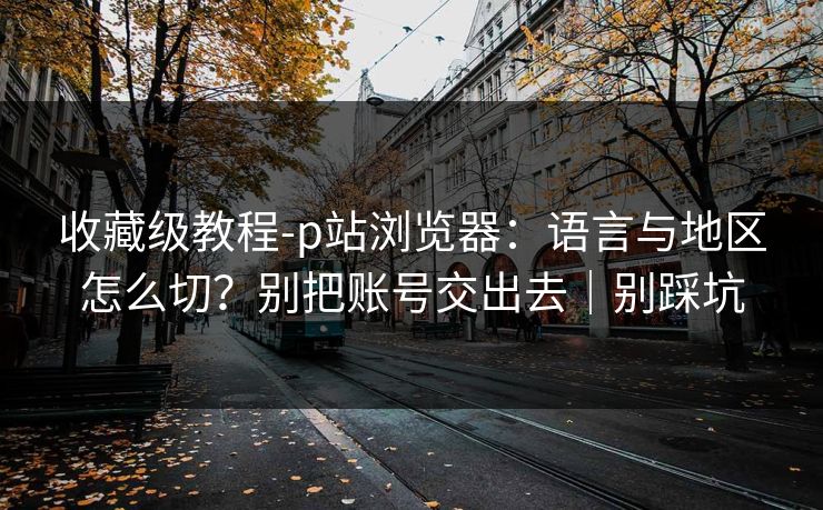 收藏级教程-p站浏览器：语言与地区怎么切？别把账号交出去｜别踩坑