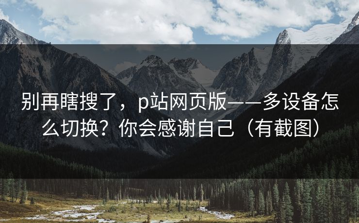 别再瞎搜了，p站网页版——多设备怎么切换？你会感谢自己（有截图）