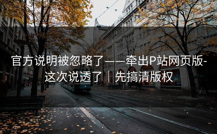 官方说明被忽略了——牵出P站网页版-这次说透了｜先搞清版权