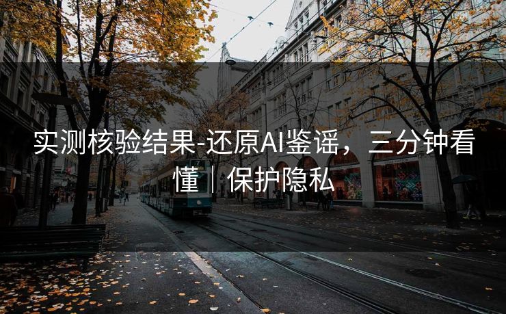 实测核验结果-还原AI鉴谣，三分钟看懂｜保护隐私
