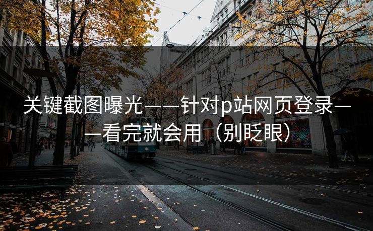 关键截图曝光——针对p站网页登录——看完就会用（别眨眼）