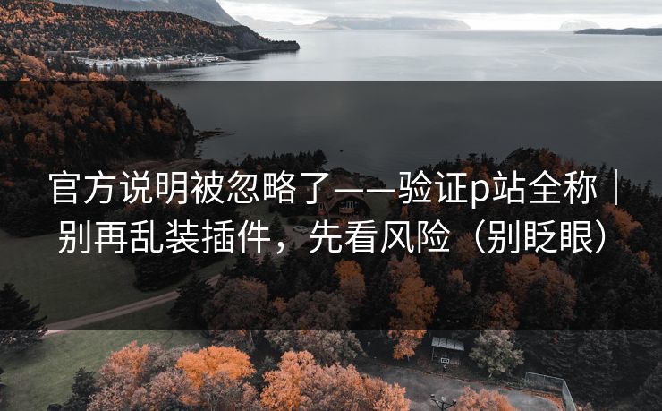 官方说明被忽略了——验证p站全称｜别再乱装插件，先看风险（别眨眼）